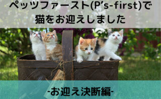 ペッツファースト(P's-first)で猫をお迎えしました‐お迎え検討編