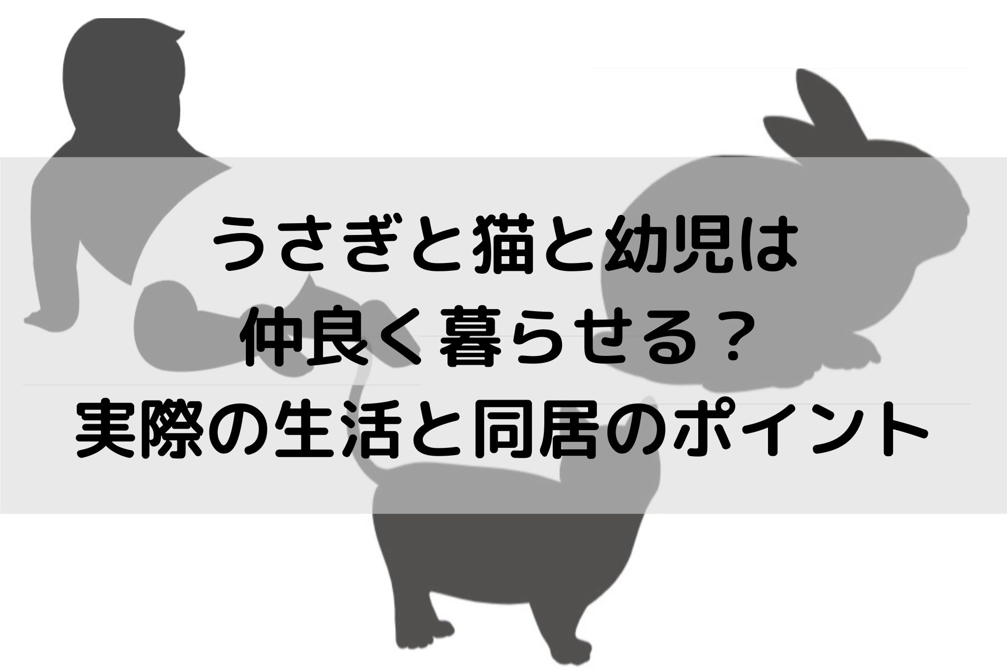 うさぎと猫と幼児は 仲良く暮らせる？ 実際の生活と同居のポイント